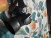 Canon 250D